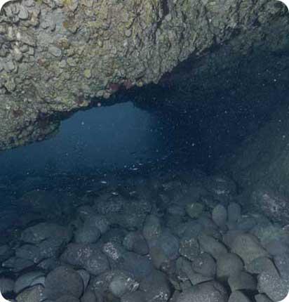 독도 수중 VR - 혹돔굴