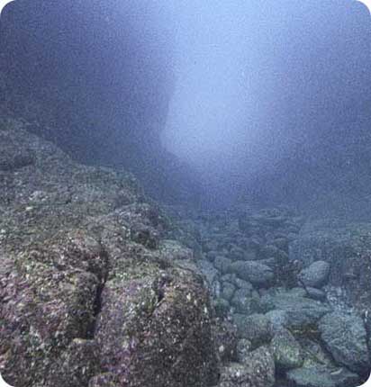 독도 수중 VR - 코끼리바위