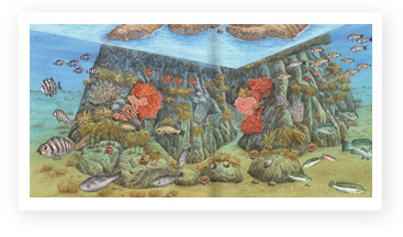 독도 바닷속 해양생태지도 제작